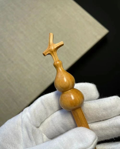 桃韻古都，文創花開——第四十一屆蘭州桃花會盛大開幕